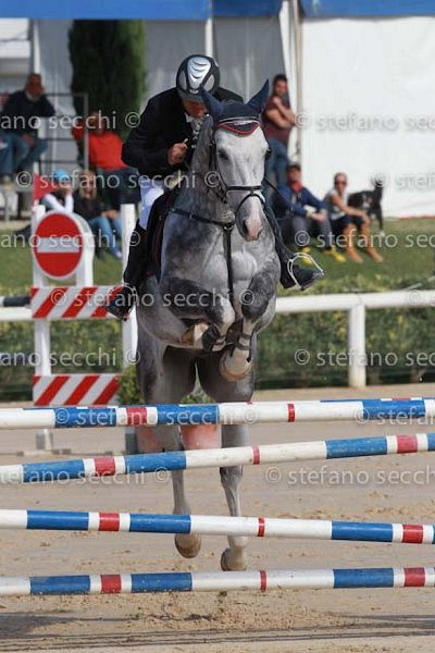 MAIO_KIMTENDER_GIO CAV 2011_SS3_0646.jpg